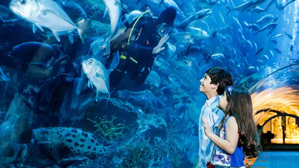 Dubai Aquarium and Underwater Zoo Tickets