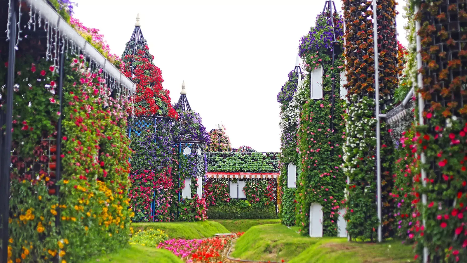 Dubai Miracle Garden Tickets – World’s Largest Flower Garden Experience  photo 3