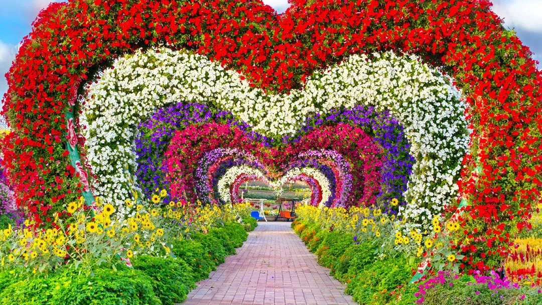 Dubai Miracle Garden Tickets – World’s Largest Flower Garden Experience  featured photo