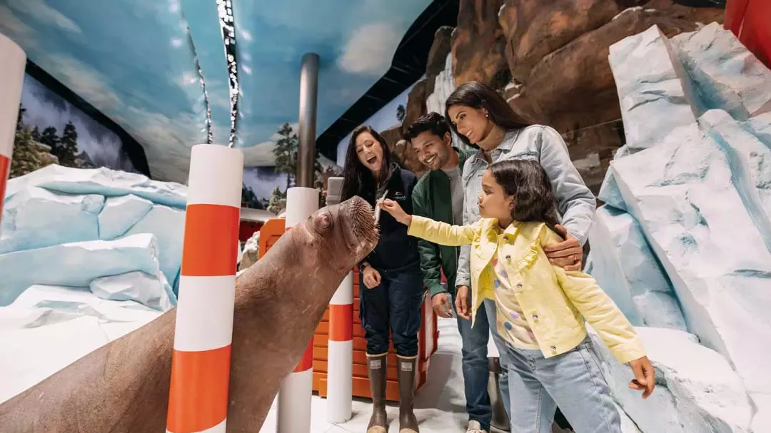 SeaWorld Abu Dhabi Tickets photo 3