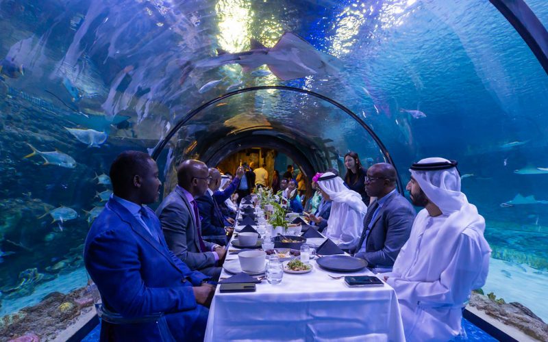 The National Aquarium Abu Dhabi Tickets featured photo