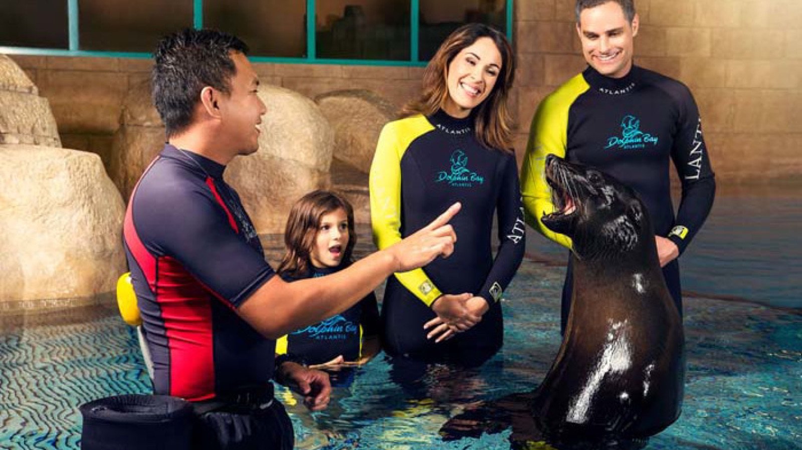 Dolphin Bay Atlantis Dubai Tickets | Swim with Dolphins