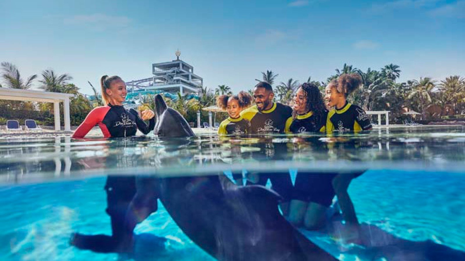 Visitors swimming with dolphins in Dubai