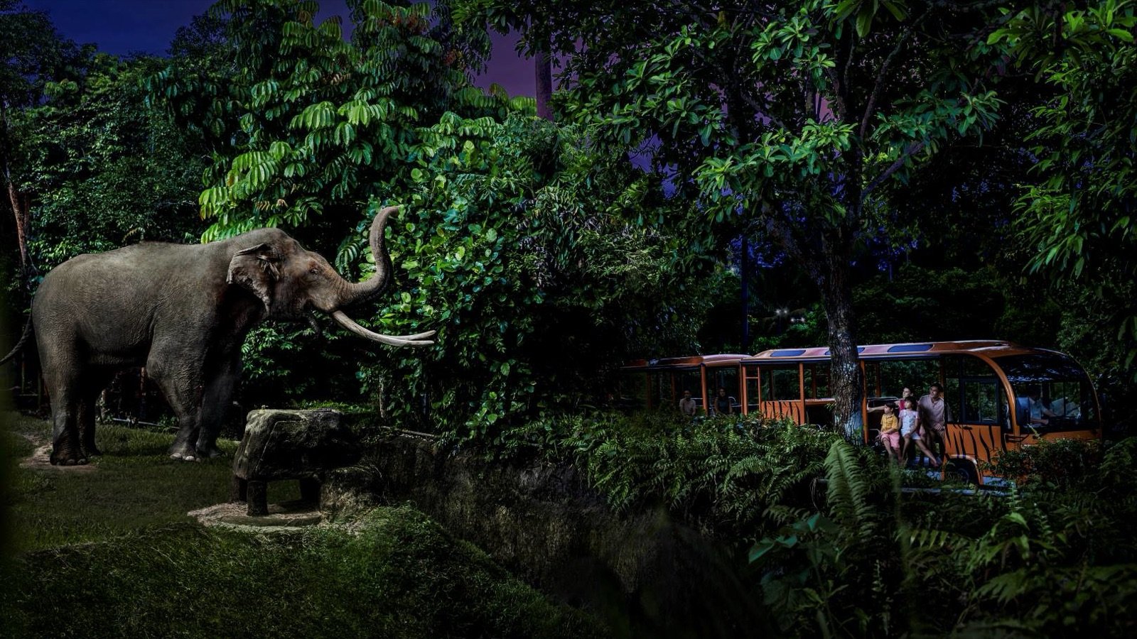 Singapore Night Safari Tickets | Explore Nocturnal Wildlife