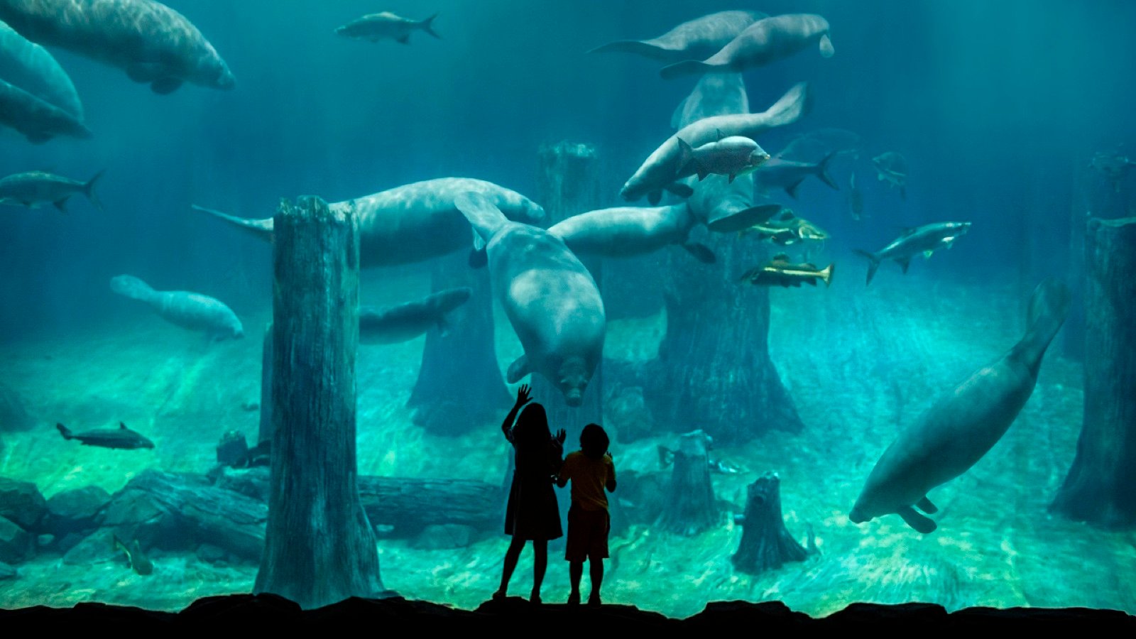 River Wonders Singapore Tickets | River-Themed Wildlife Park