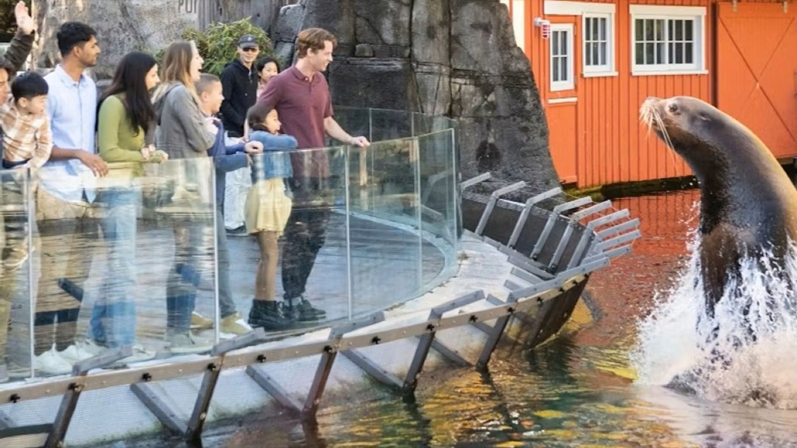 Marine life in aquarium tank