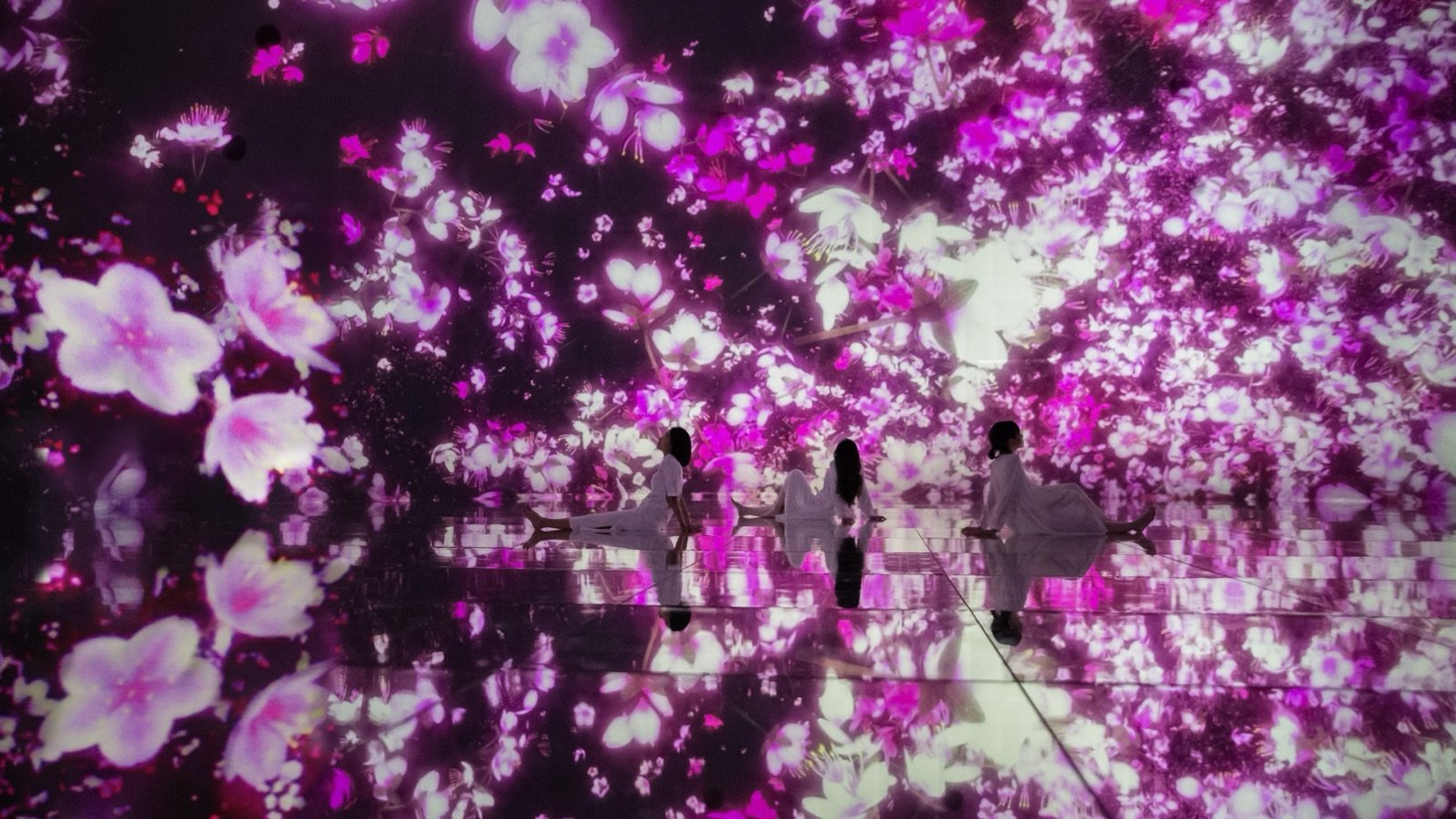 teamLab Planets TOKYO DMM Koto City Tickets | Immersive Digital Art Experience