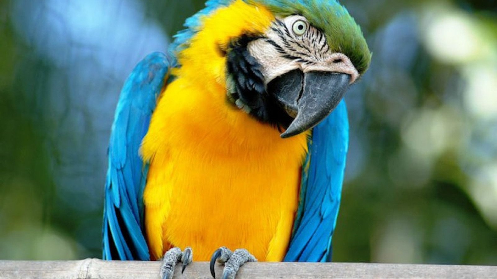 Bioparco di Roma Rome Tickets | Skip-the-line Zoo Entry